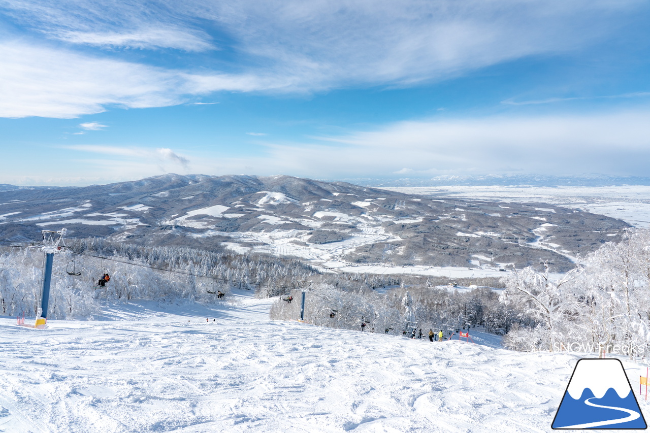カムイスキーリンクス｜この上ないほど澄んだ青空と極上のパウダースノー。やっぱり『カムイ』は外れない！